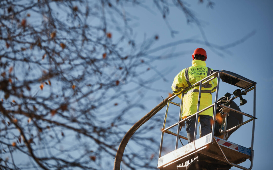 City Green Light pioniera della “luce circolare”. Il progetto pilota è a San Pier d’Isonzo