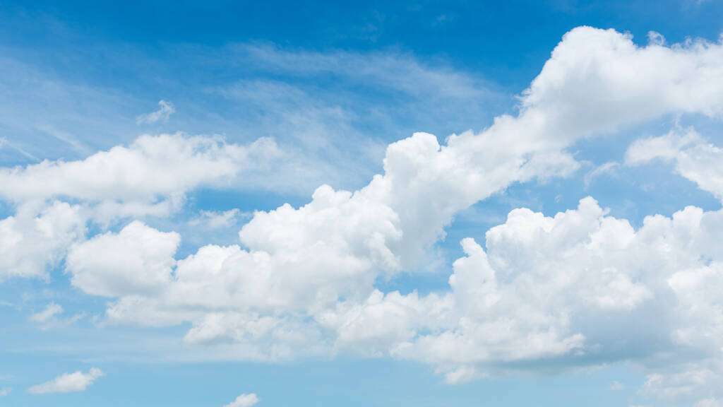 City Green Light presents its first Sustainability Report