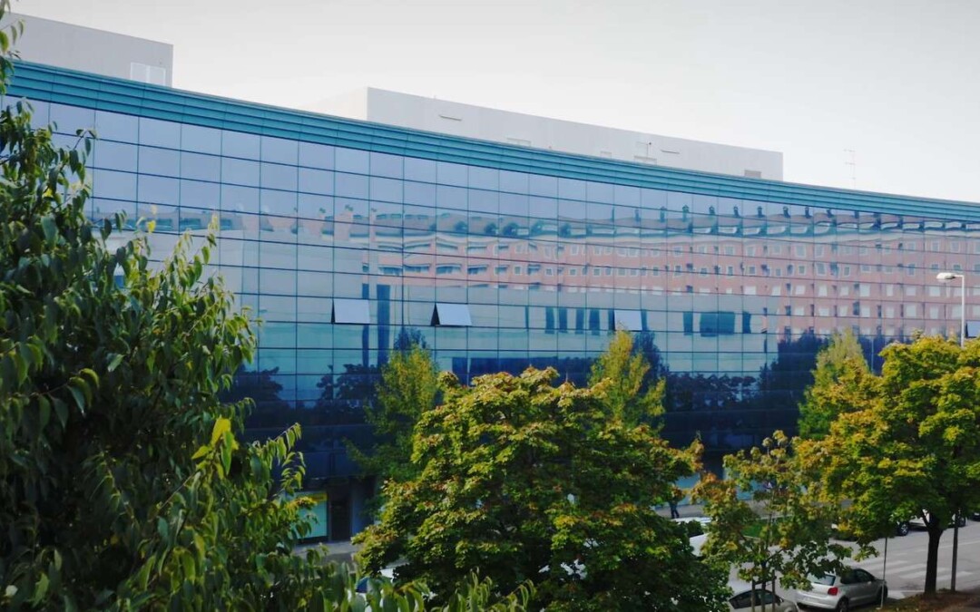 City Green Light: il Bilancio Consolidato 2025 sancisce la metamorfosi industriale e la forza del modello di business