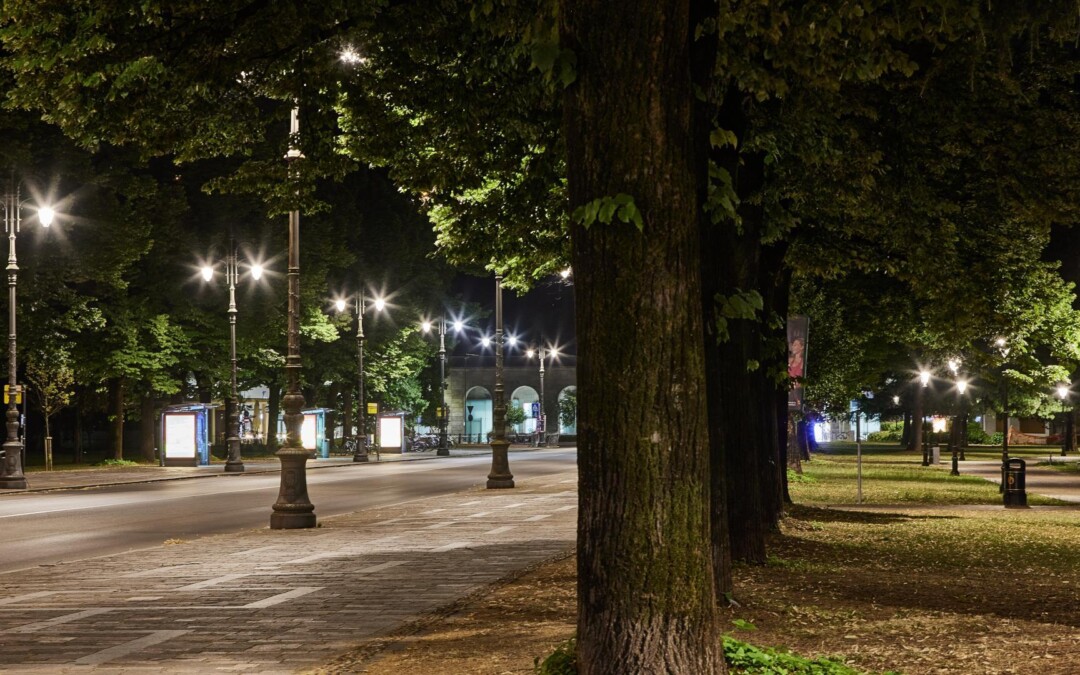 DIGITAL TRANSFORMATION ED ENVIRONMENTAL SUSTAINABILITY: CONTESTO ATTUALE E OPPORTUNITÀ PER I TERRITORI